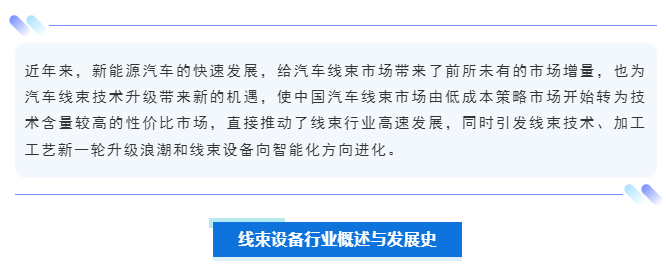 8171726362263700.jpg 2.jpg